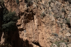 5L3A0950